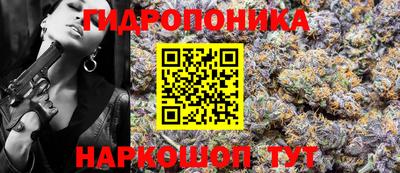 крисы Новоалтайск